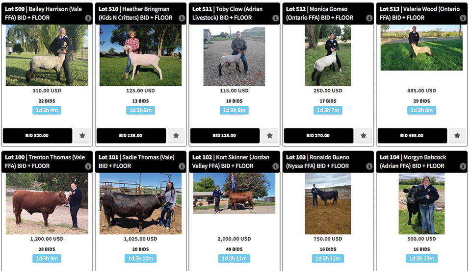 Inaugural online auction for FFA/4-H market animals wraps up at noon ...