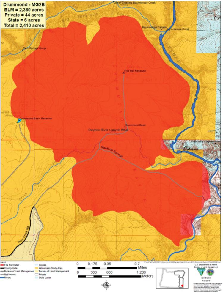 Crews mop up lightingcaused wildfires Local News Stories