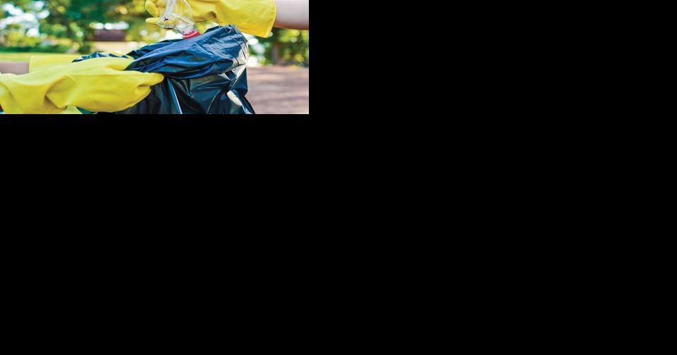 Volunteers sought to spruce up the city on April 8 - Vimarsana News