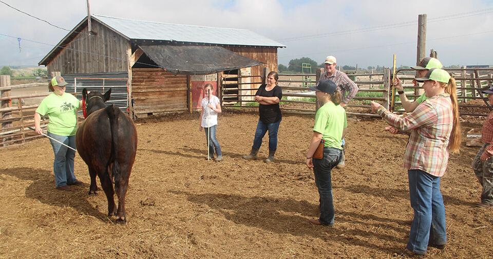 Frisky Critters prepare for the Malheur County Fair - Vimarsana News