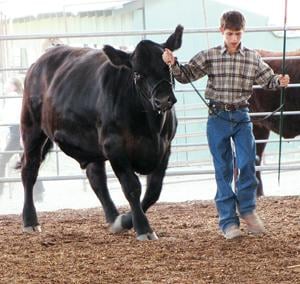 Pictures from the Payette County Fair | Features | argusobserver.com