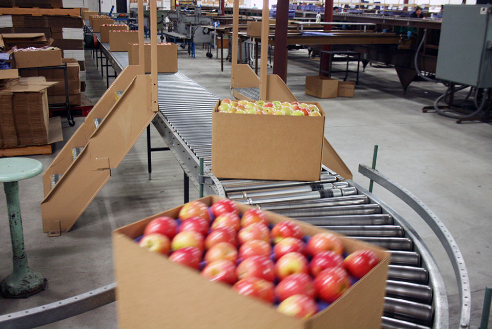 Local crops find markets all over the world News