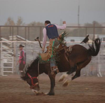 rodeo tvcc chukar argusobserver rodeos regional takes men