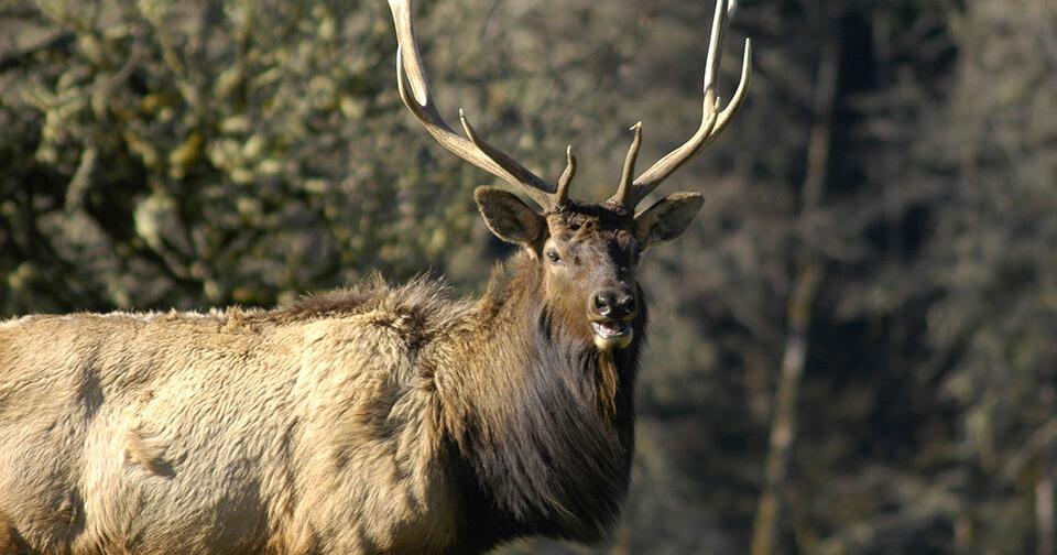 Manulife to end participation in Access and Habitat program on May 31