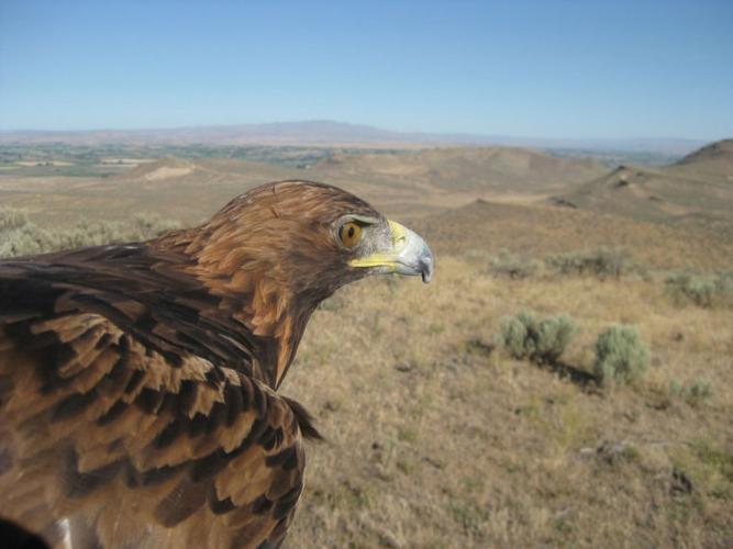 Former Eagle lives life on TV