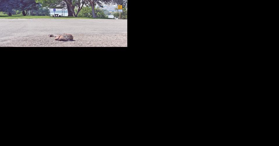 Replacing a sewer line at local park - Vimarsana News