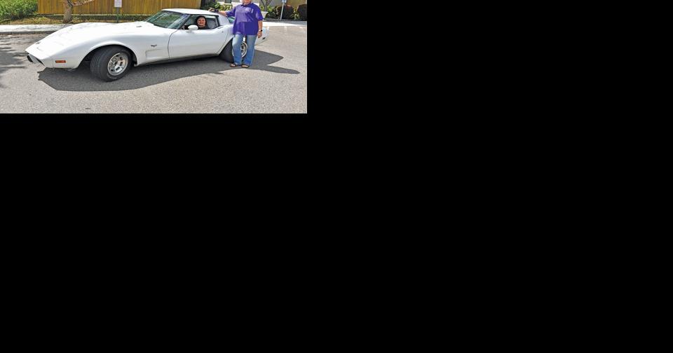 Nonprofits aim to 'drive out' domestic violence | Local News Stories - Vimarsana News