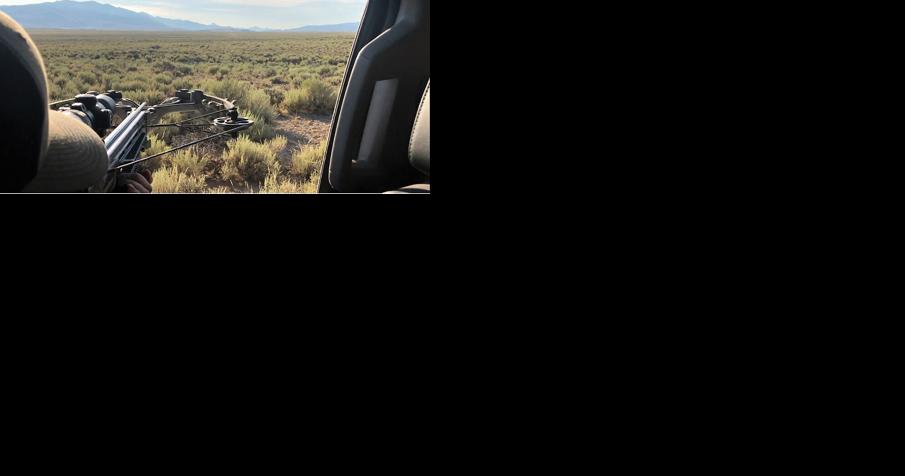 Trespassing call leads to more than 50 wildlife charges - Vimarsana News