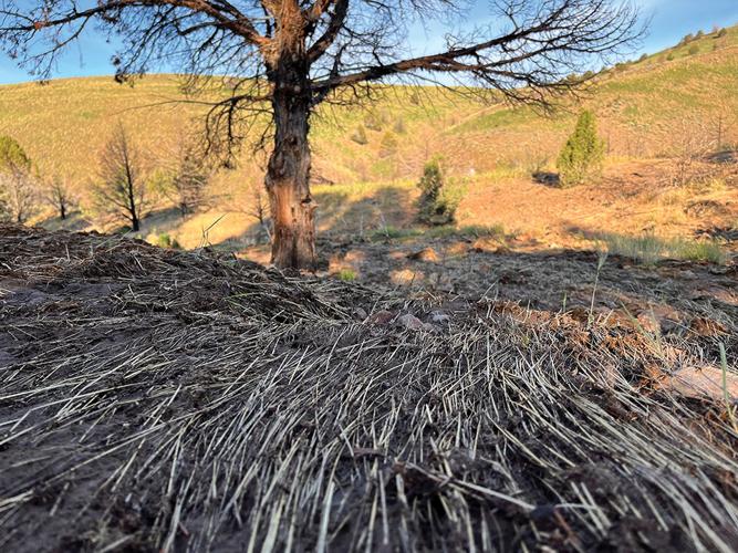 Vale BLM crews aim to make Pole Creek Road passable by 4WD Local News