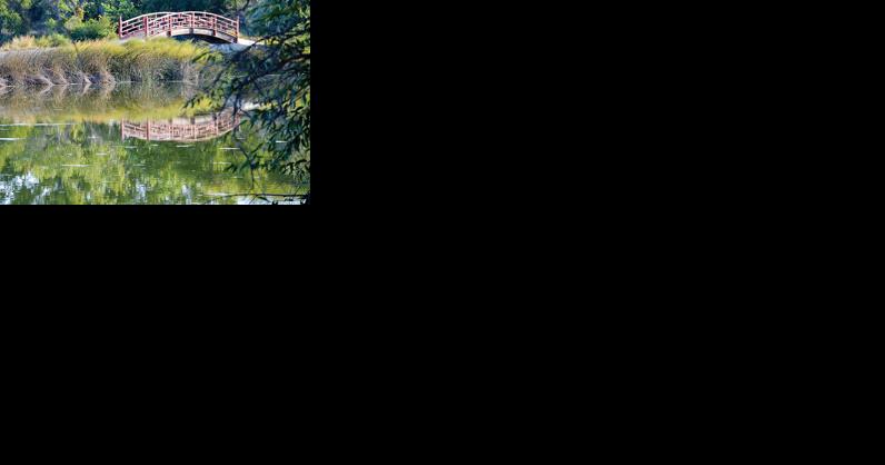 Ontario City Council OKs resolution to improve trail at Beck-Kiwanis Park - Vimarsana News