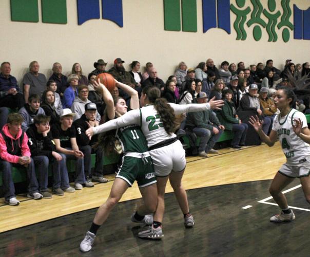 Antelopes bounce past Falcons on the court | Local Sports ...