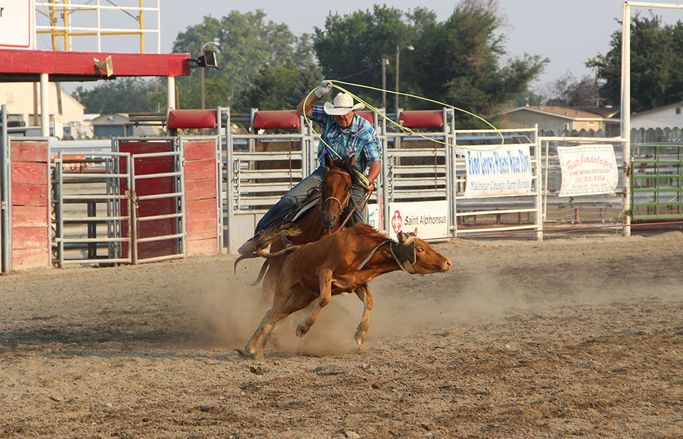 Team roping main events fair’s second day | Local Sports News ...