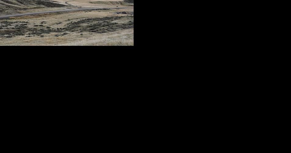 Vale BLM could move ahead with plan to reduce livestock-vehicle crashes and near misses on Lytle Boulevard - Vimarsana News