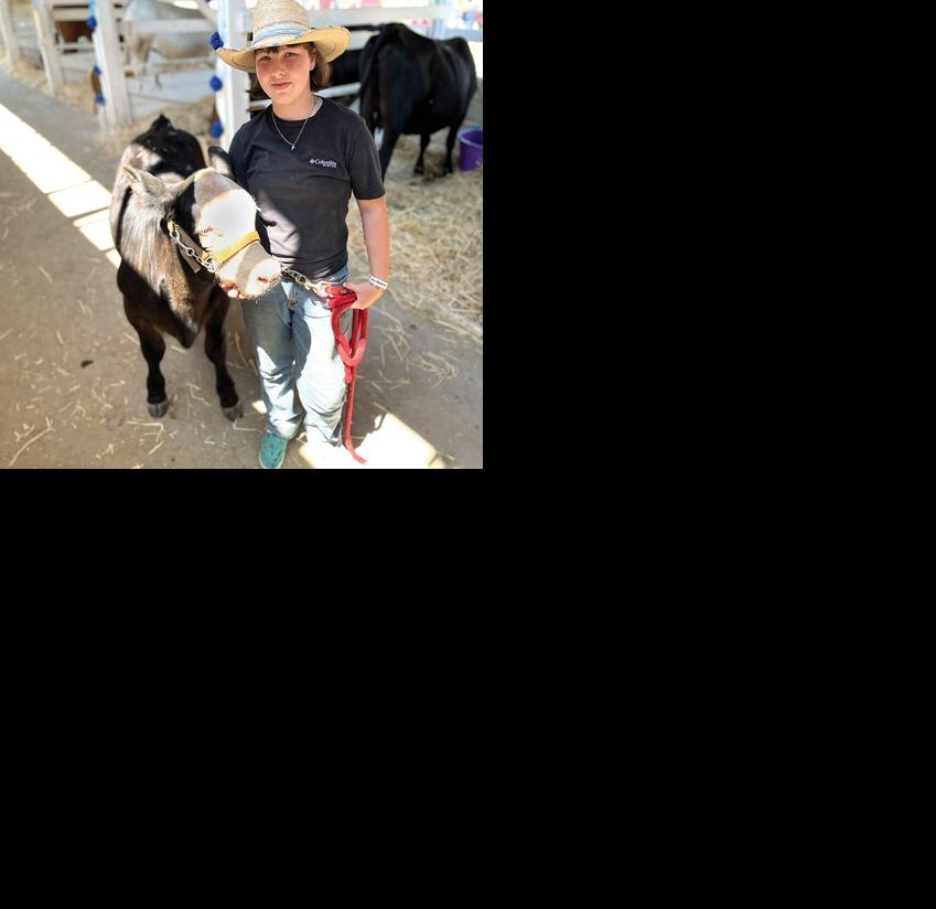 4-H'ers set their sights on FFA | Local News Stories - Vimarsana News