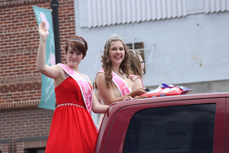 Apple Blossom Festival A Success News Argusobserver Com