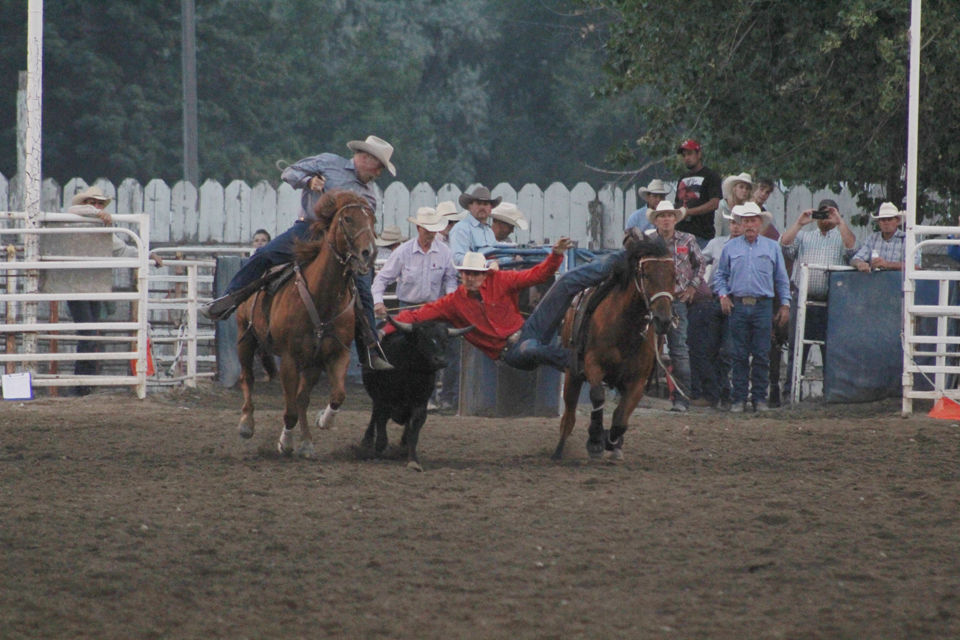 Locals dazzle in Malheur County Fair rodeo (PHOTOS) Local Sports News