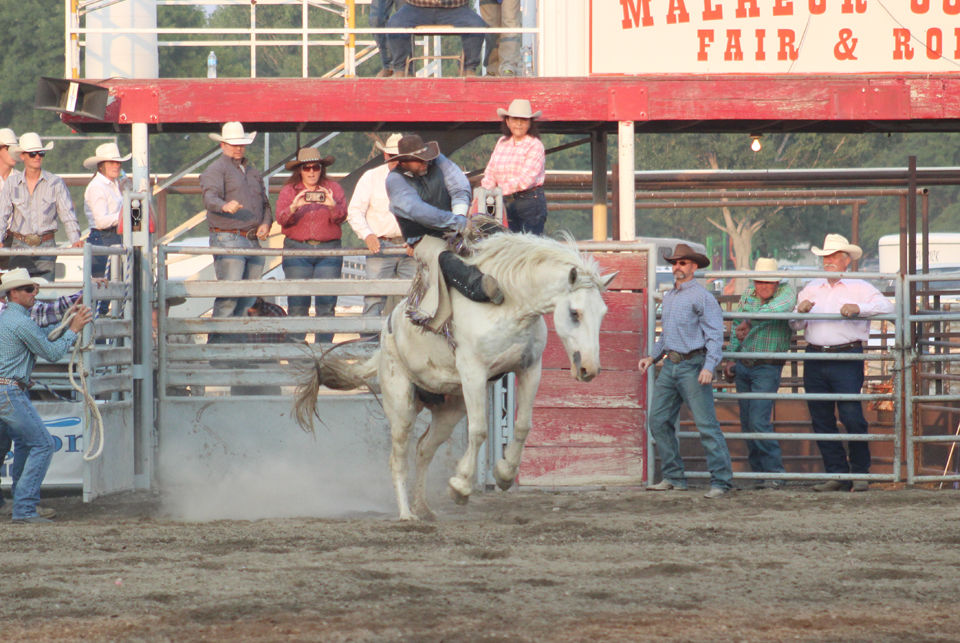 Locals dazzle in Malheur County Fair rodeo (PHOTOS) Local Sports News