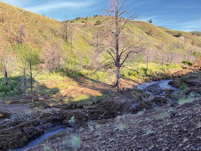 Vale BLM crews aim to make Pole Creek Road passable by 4WD Local News