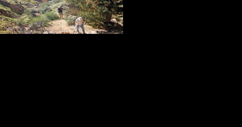 U.S. Sen. Ron Wyden holds virtual town hall for Malheur County on Oct. 31 - Vimarsana News
