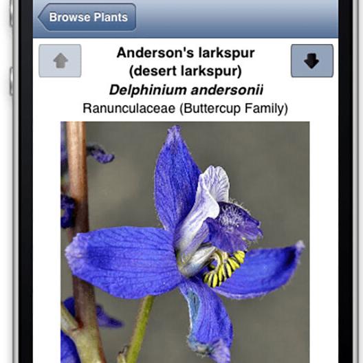OSU app brings wildflower ID to your fingertips - Vimarsana News