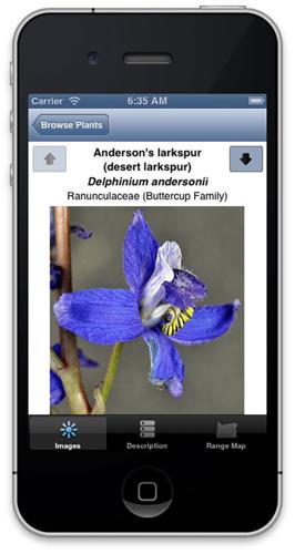 OSU app brings wildflower ID to your fingertips | News | argusobserver.com