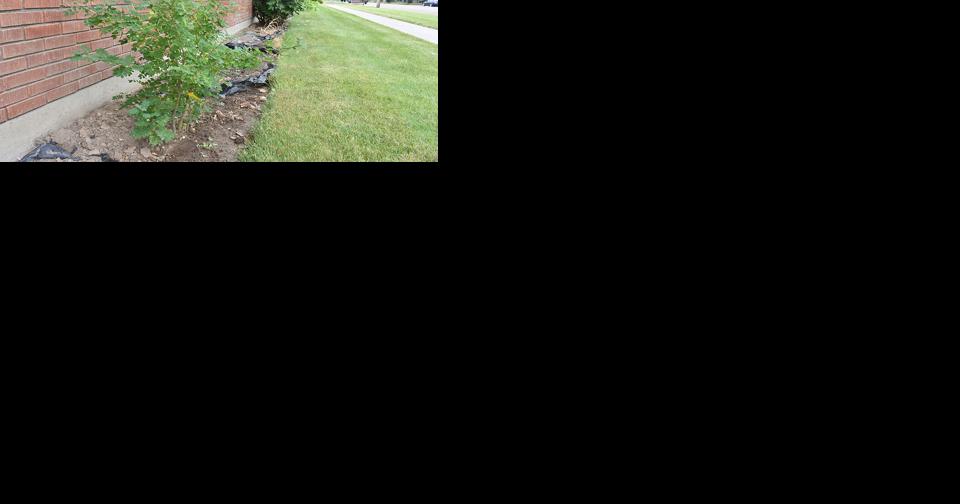 Rebekahs spruce up care facility with donation of shrubs - Vimarsana News