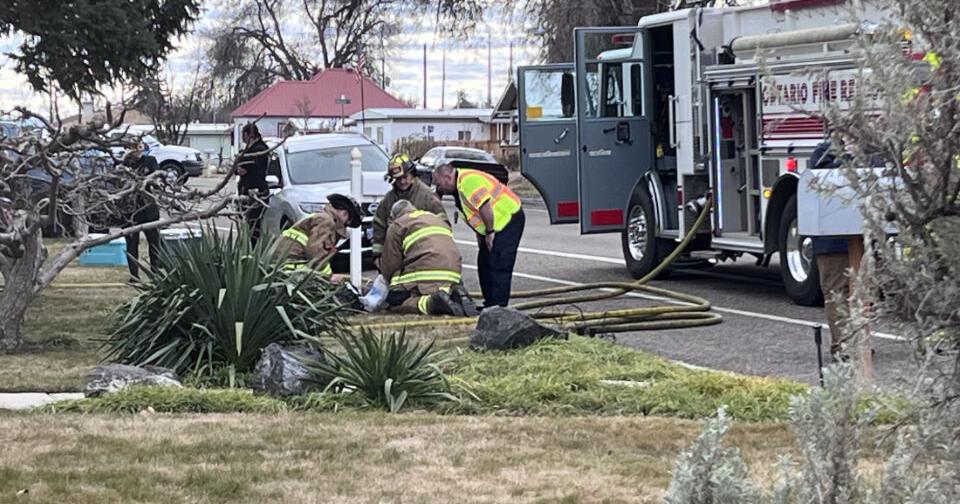 2 dogs perish in house fire Friday | News | argusobserver.com