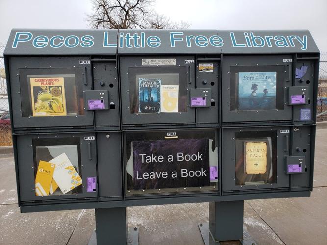Little Free Libraries at RTD stops a labor of love for Arvada Artist ...