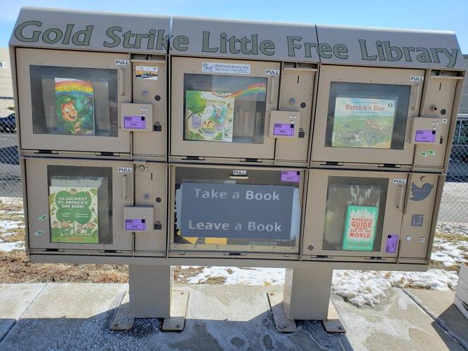 Little Free Libraries at RTD stops a labor of love for Arvada Artist ...