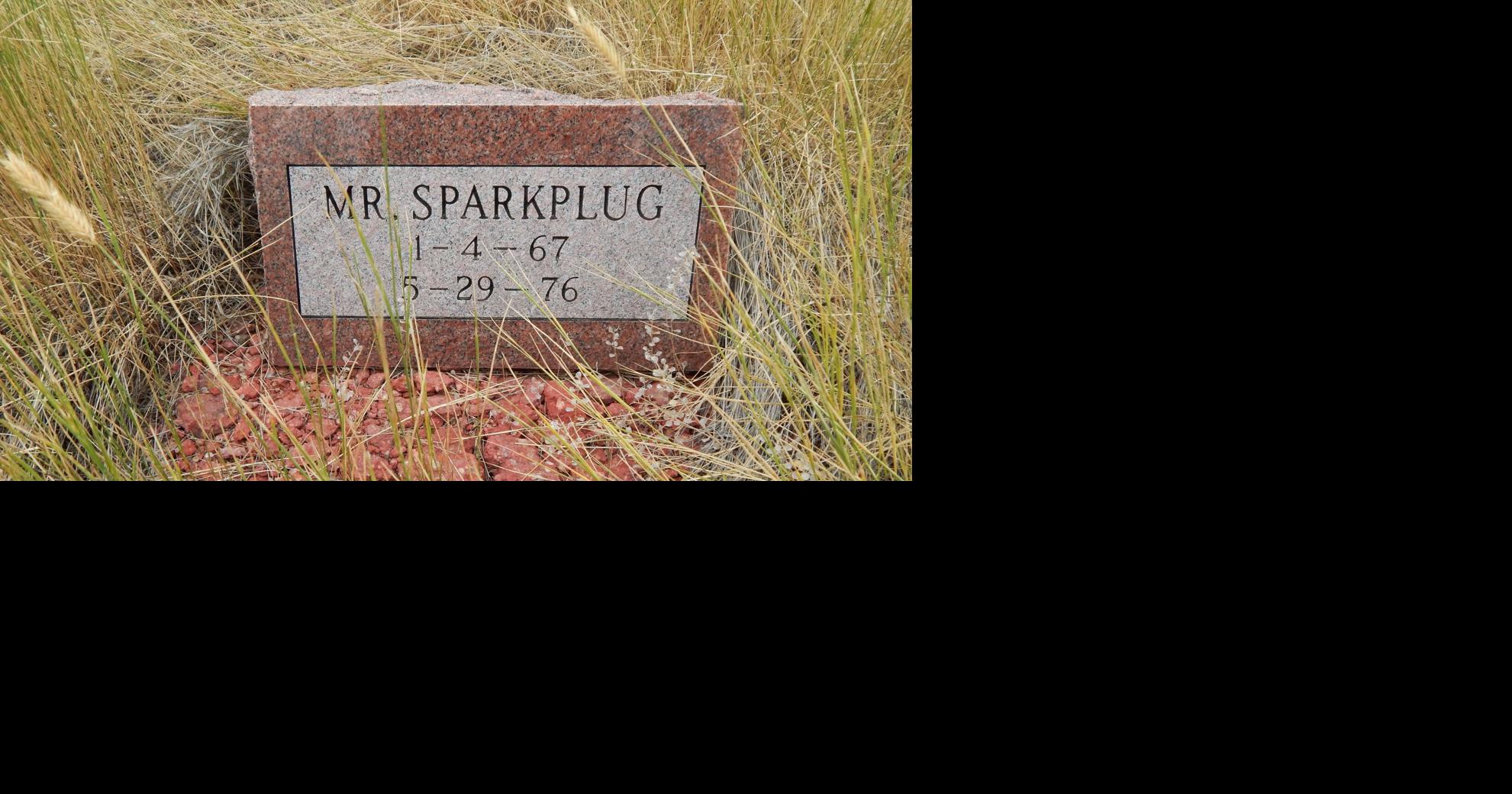 Abandoned Arvada pet cemetery likely to be redeveloped