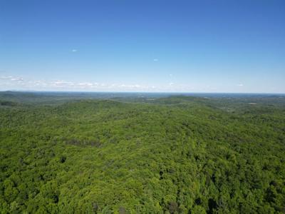 Blue Ridge Conservancy protects 1,125 acres of land in the Brushy ...