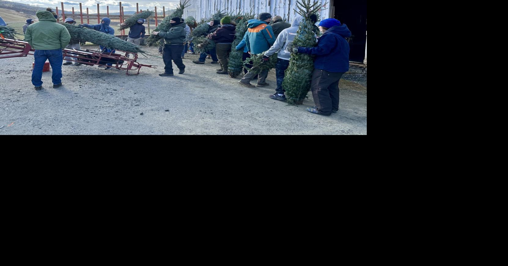 Ashe County exceeds Trees for Troops Christmas tree goal Community