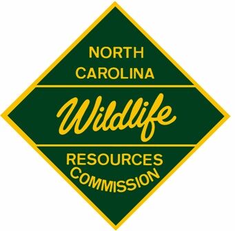 Wildlife in North Carolina 2022-23 photo competition announced | News ...