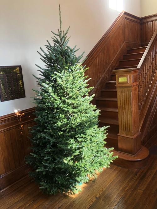 Christmas Trees 2022 Watauga Democrat Goss Family Donates Christmas Tree To Museum Of Ashe County History |  Community | Ashepostandtimes.com