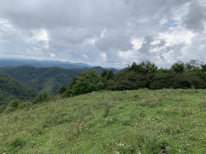 Blue Ridge Conservancy protects scenic mountain vista in Ashe County ...