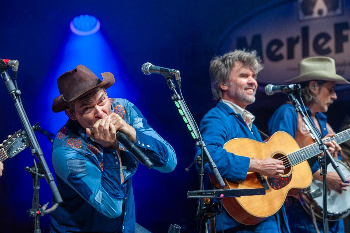 Merlefest Racoon MerleFest concludes 2026 festival | Arts And Entertainment ...
