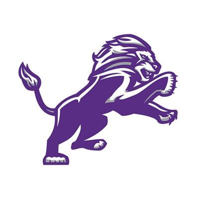 lions new logo