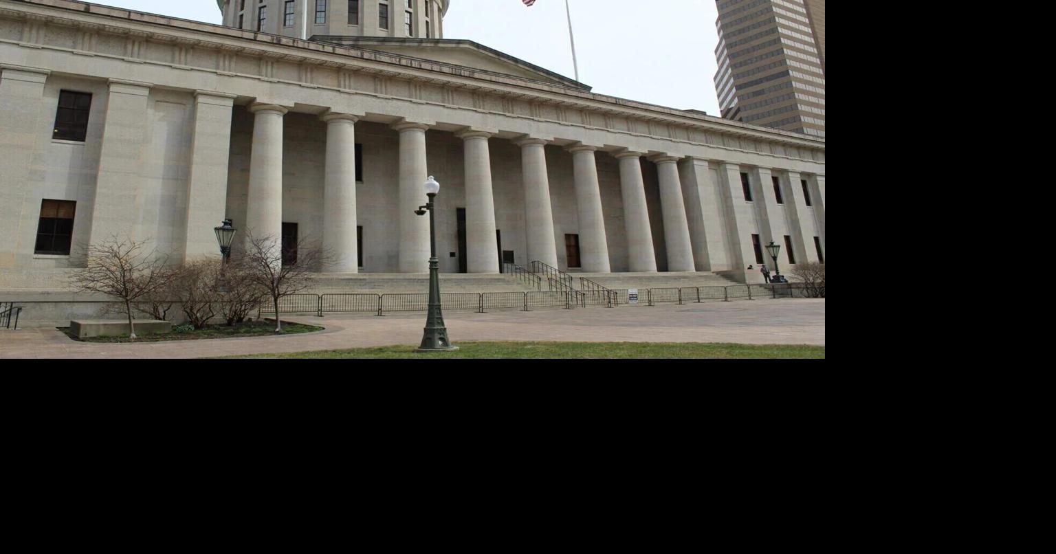 Proposed constitutional amendment mandating voter ID raises eyebrows