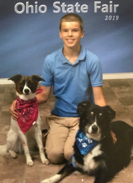 Caden Cline showed dogs at state fair