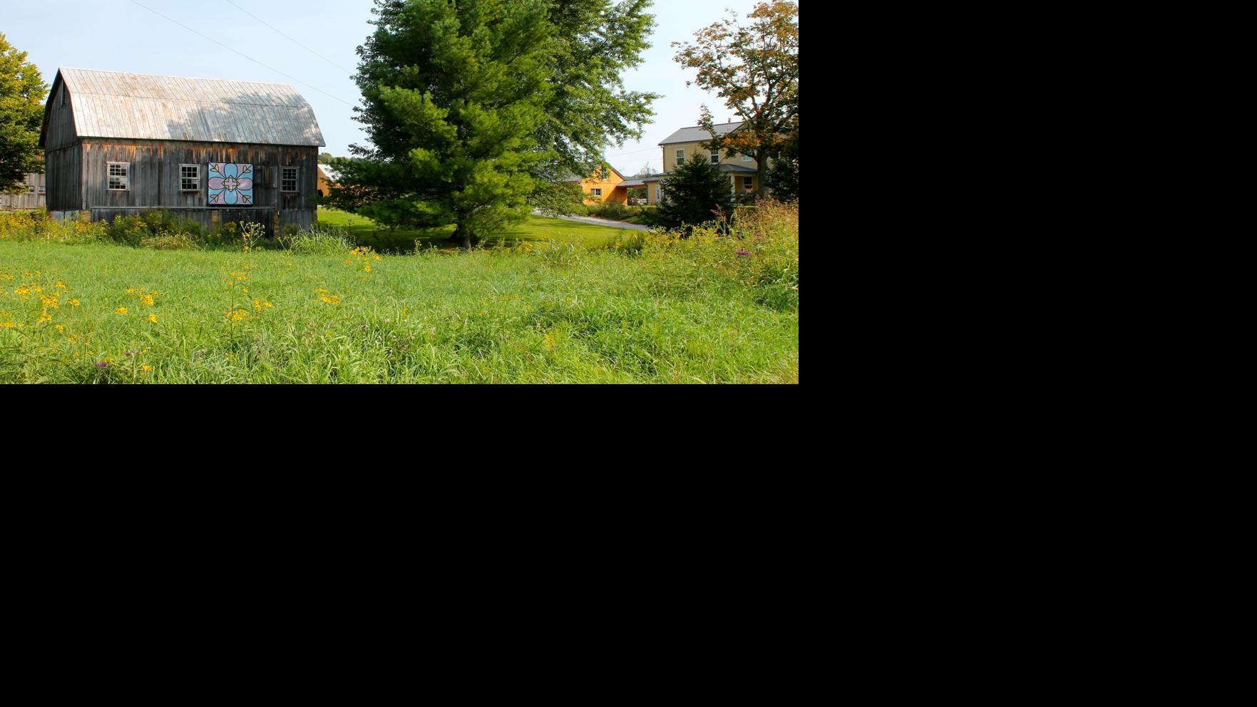 Locust Valley Farm Photo Gallery