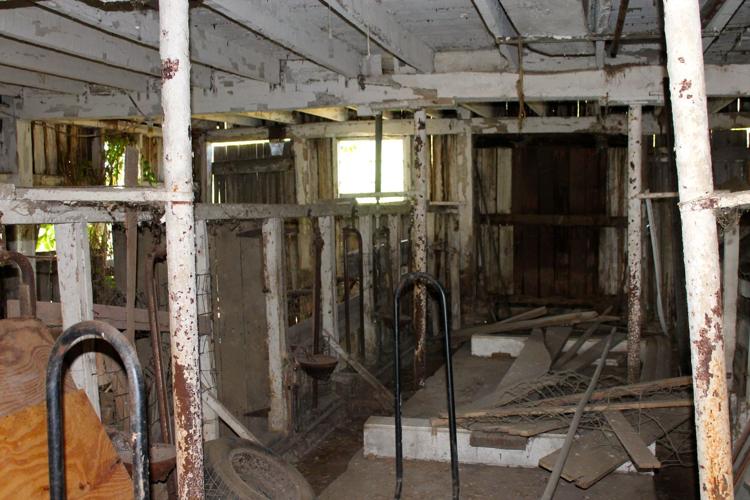 Locust Valley Farm Photo Gallery