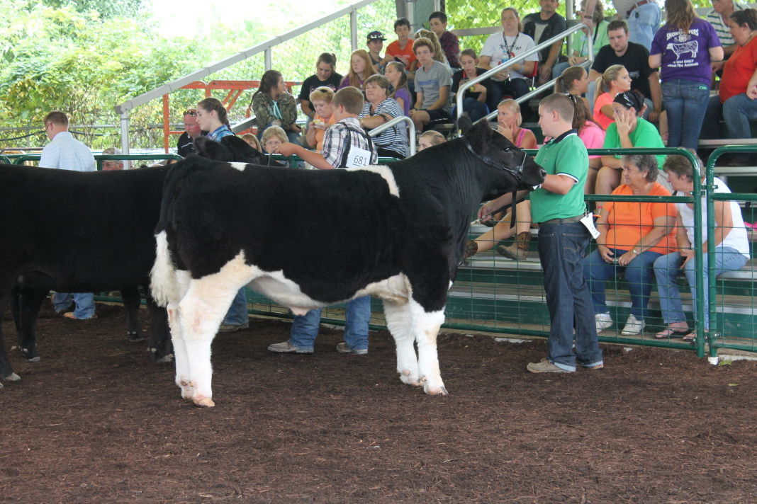 Tuesday afternoon at the Athens County Fair Photo Gallery