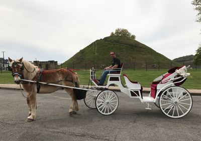 Shoe store owners hope to offer horse carriage rides around Public ...