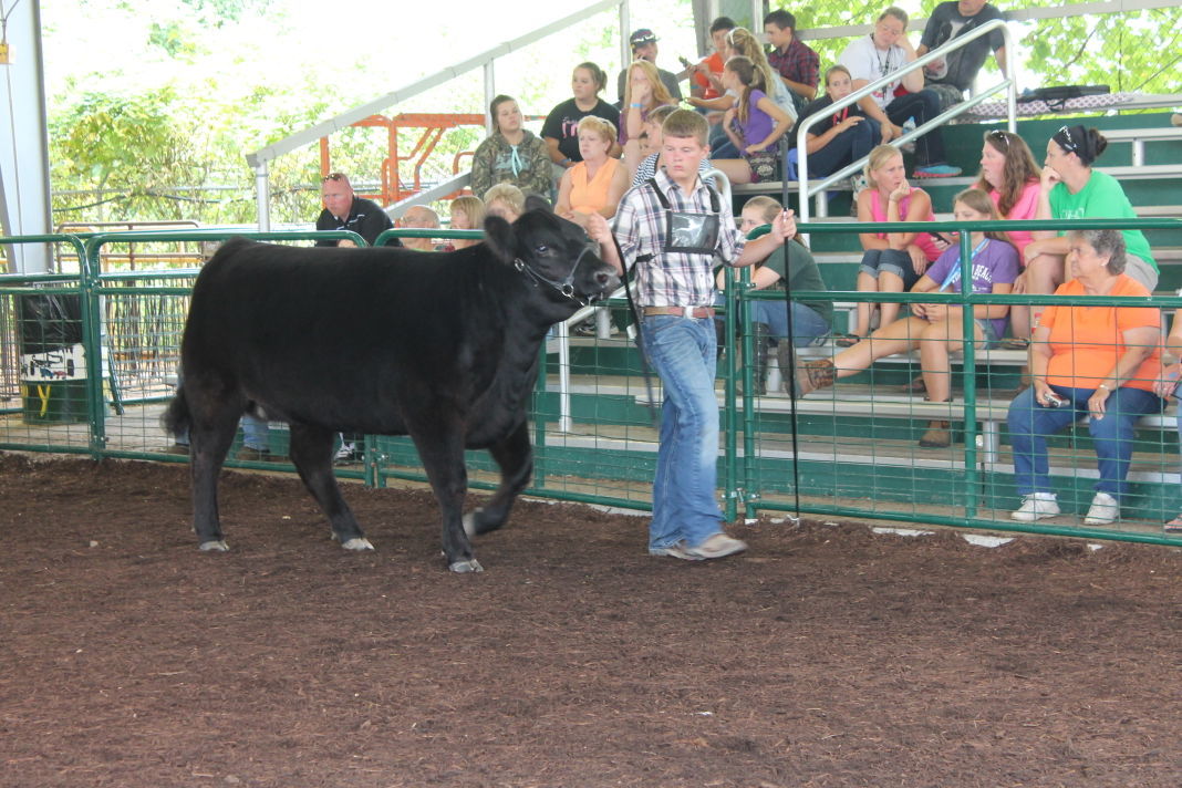 Tuesday afternoon at the Athens County Fair Photo Gallery