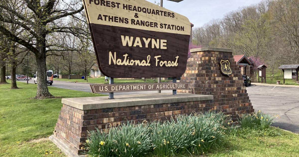 Brewing Locally Image