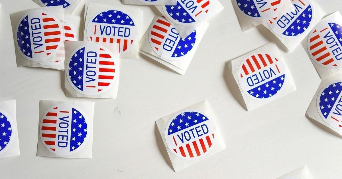 LaRose promises appeal of ruling that blocks Ohio’s citizenship ask for motor voters