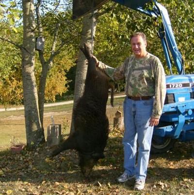 Man kills boar in his front yard | News | athensmessenger.com