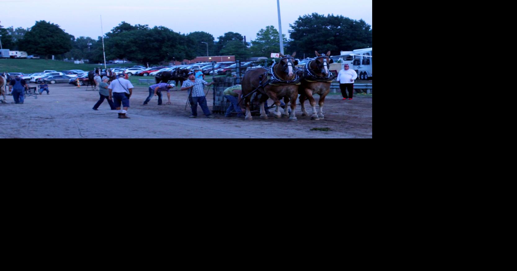 2023 Athens County Fair results Connect