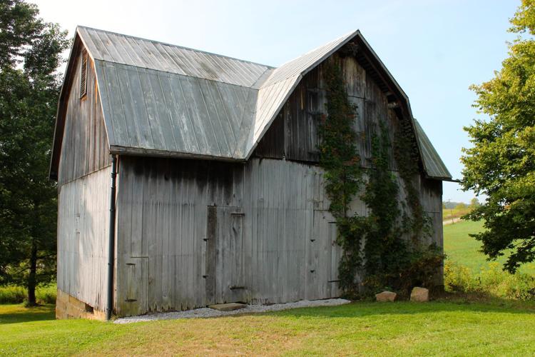 Locust Valley Farm Photo Gallery