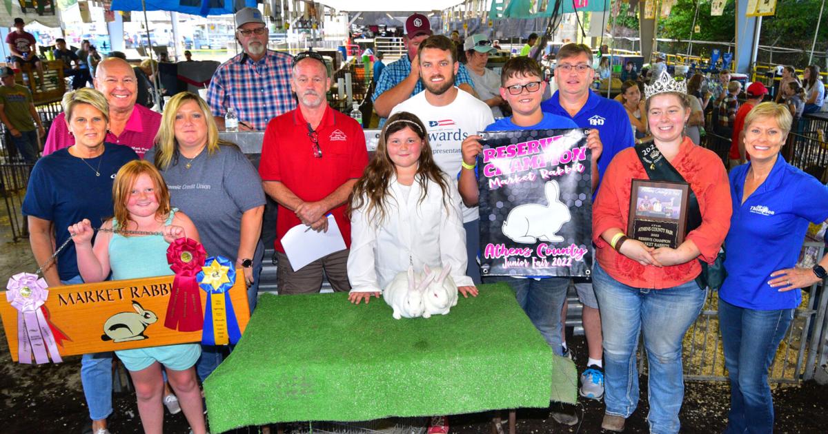 Fair Rabbit Res Champ | Athens County Fair | athensmessenger.com